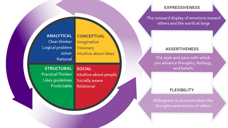 Emergentics Profile